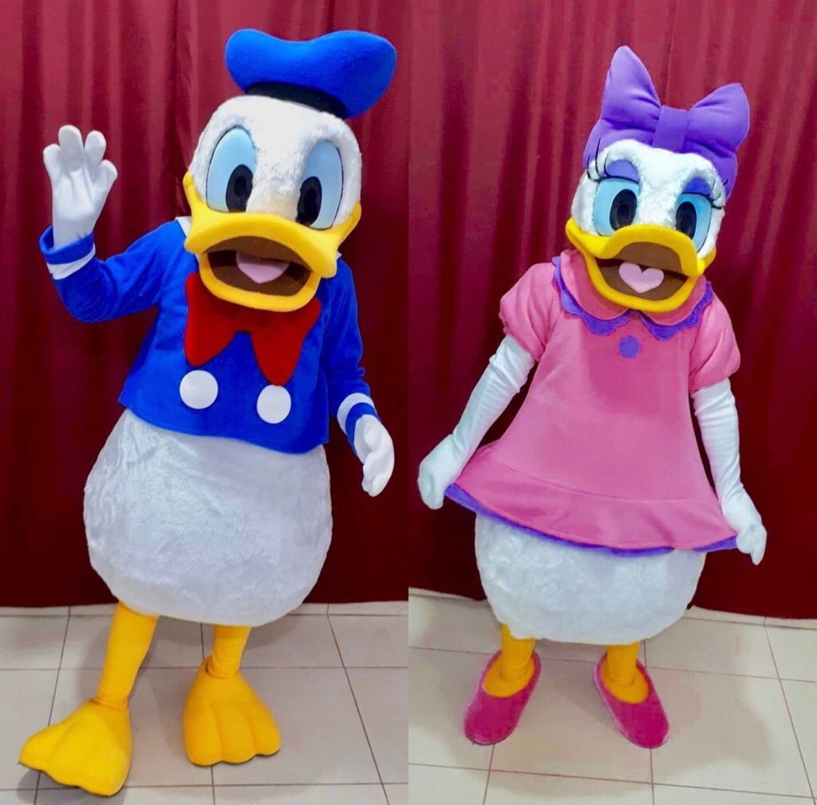 Donald e Margarida.jpeg